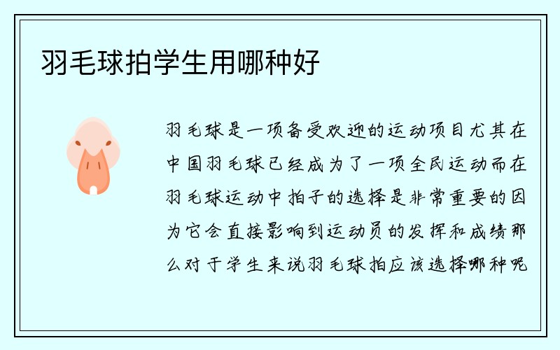 羽毛球拍学生用哪种好